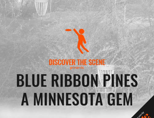 Blue Ribbon Pines – A Minnesota Gem