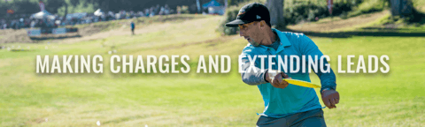 An image of charges and extending leads