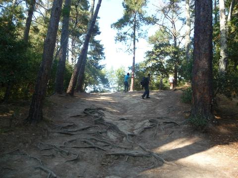 DUDE clothing - DelaVeaga Disc Golf Course - Photo by DiscGolfScene