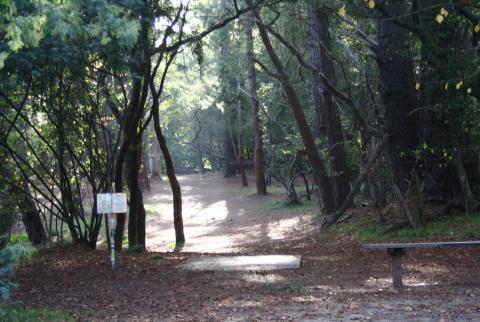 DUDE Clothing - DeLaveaga Hole 11 - Photo by PDGA