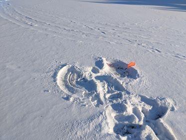 DUDE Clothing - Disc Golf Snow Angel 