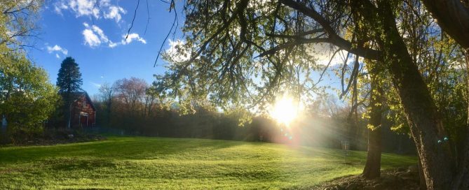 An image of Dude Clothing 501 Disc Golf Course New England