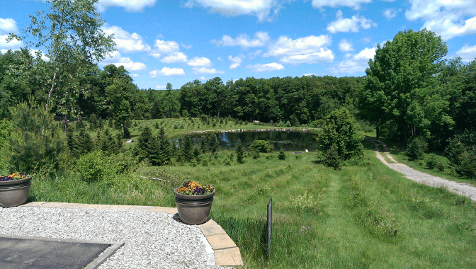 disc golf pro tour maple hill