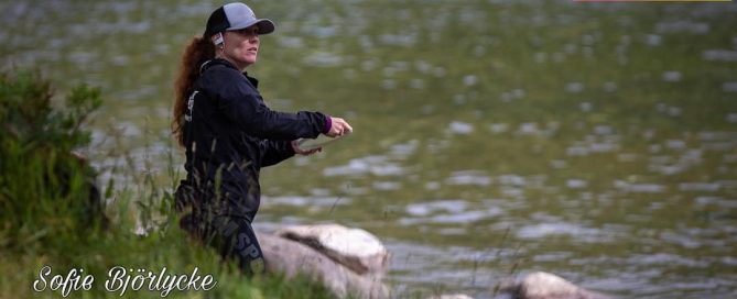 An image of Swedish Disc Golf Championships